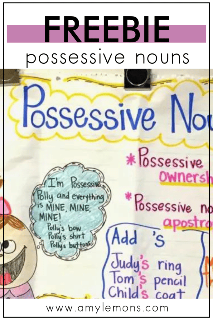 Possessive Nouns - Amy Lemons