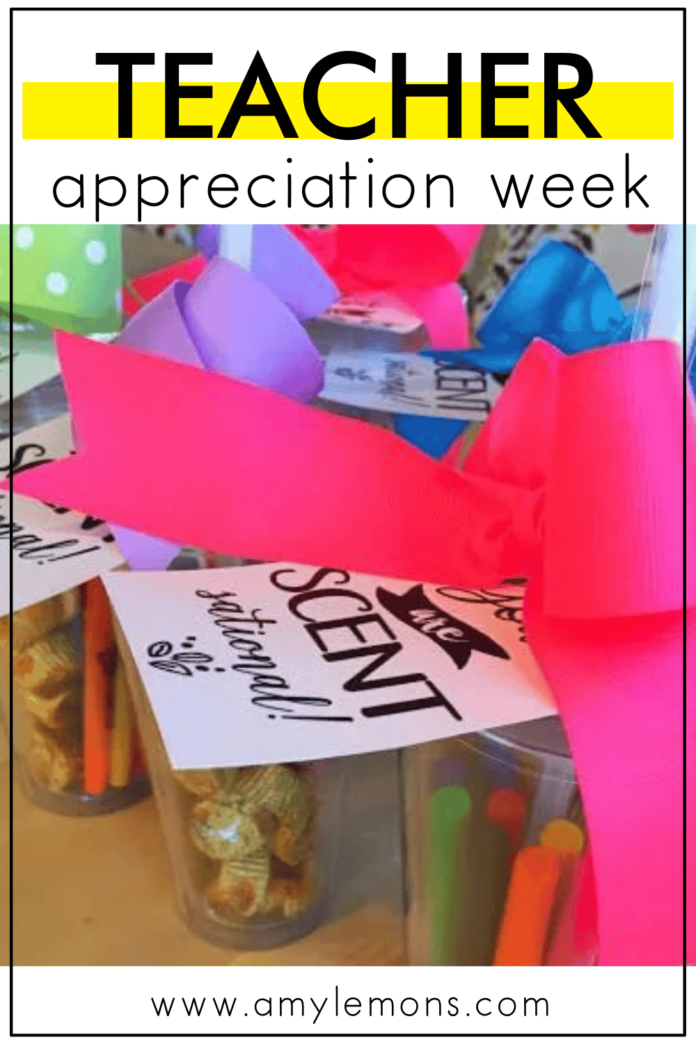 Teacher Appreciation Week - Amy Lemons