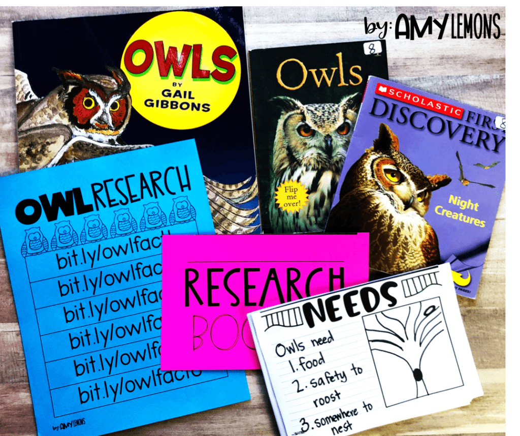 owl research