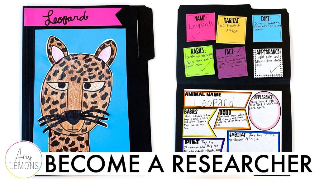 animal research for kids leopard 1