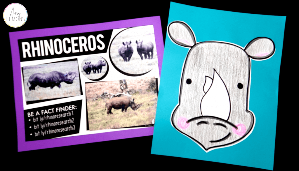 directed drawing animal research rhino 1