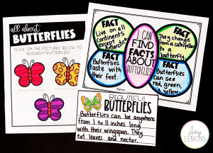 research butterflies butterfly facts