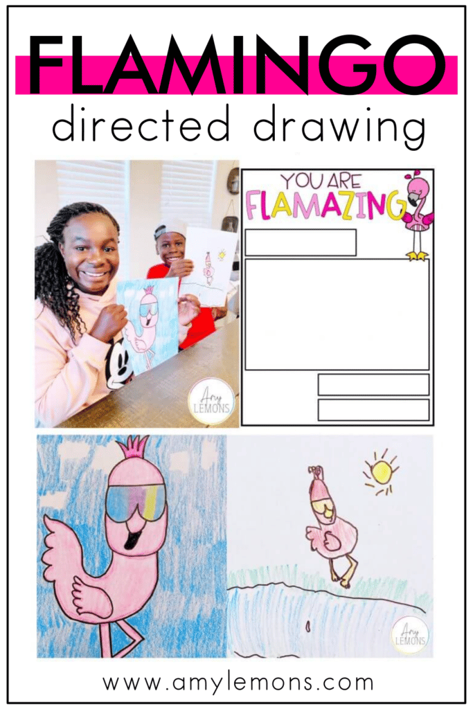 flamingo directed drawing