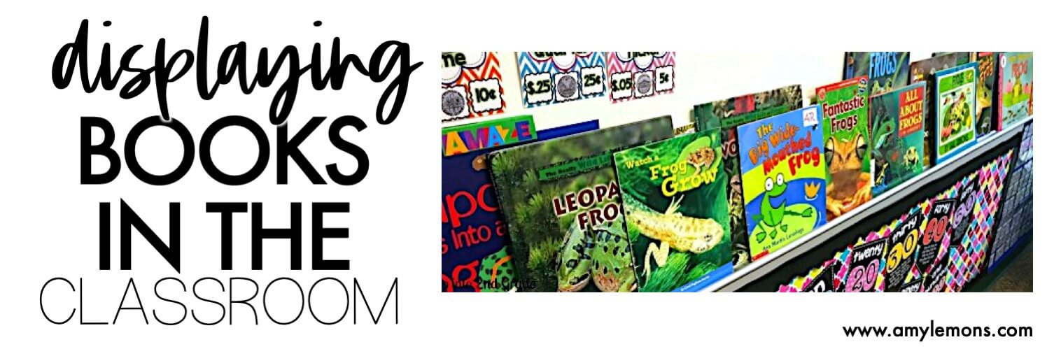 Build a Diverse Library Part Three - Amy Lemons