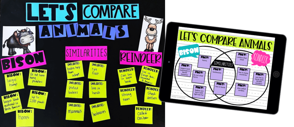 compare animals anchor chart