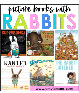 rabbit picture books