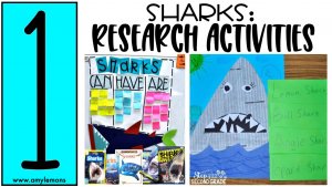 1 shark classroom activities