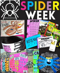 Spider Classroom Activities