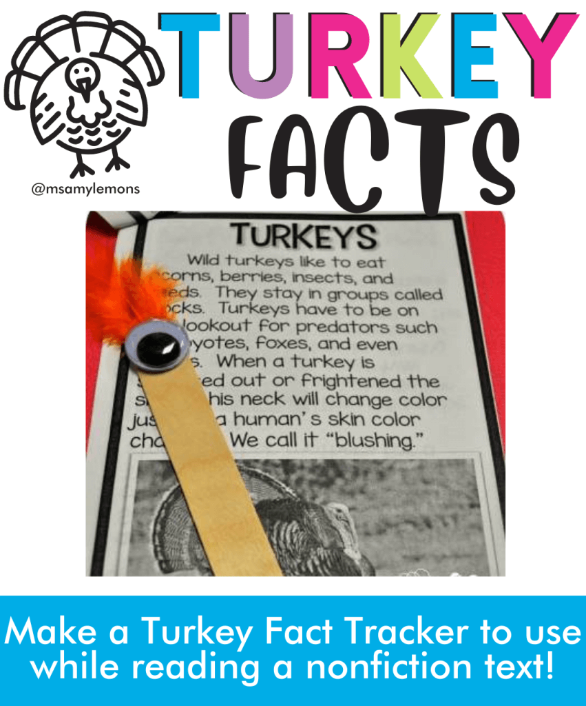 turkey facts