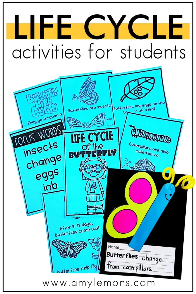Life Cycle Activities for the Elementary Classroom