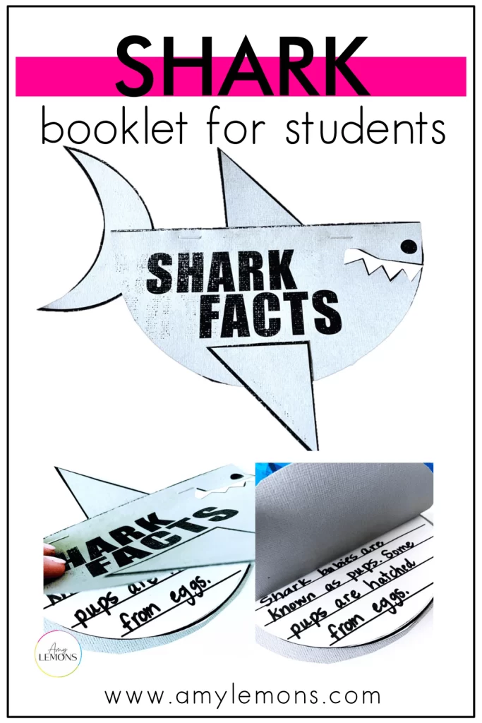 Shark Booklet for Students