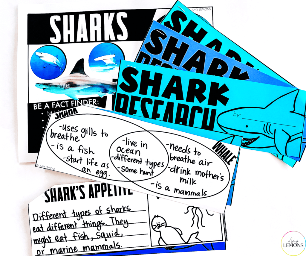 shark research for kids 3 1
