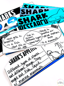 Shark Research and Free Booklet for the Classroom