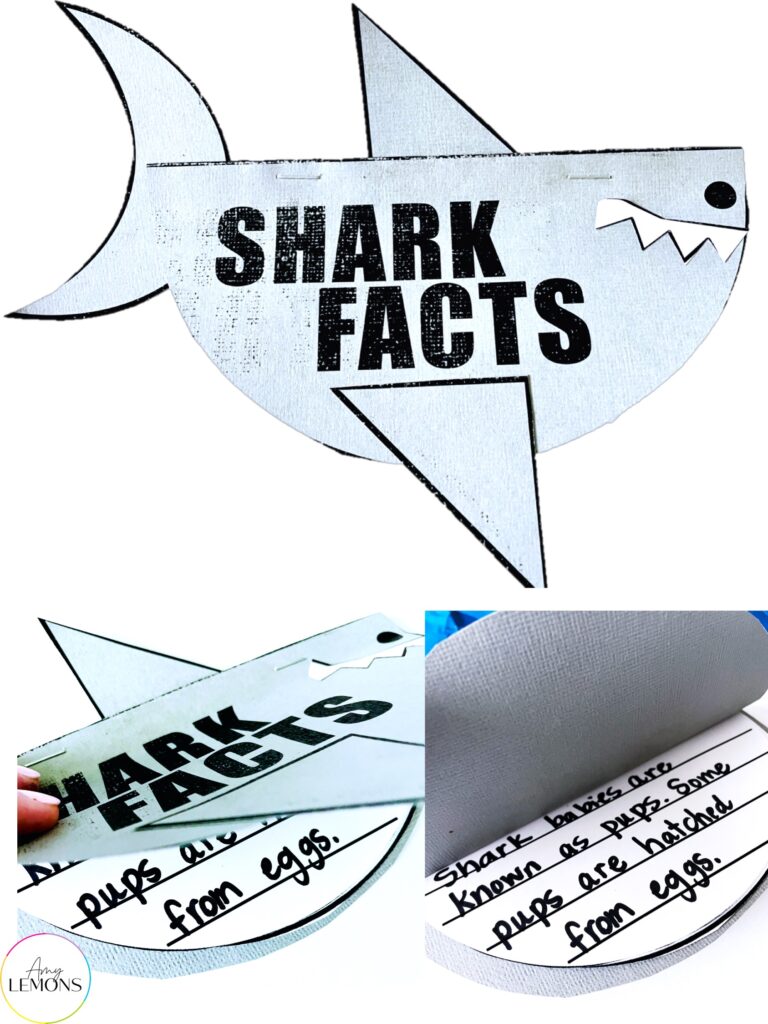 shark fact booklet