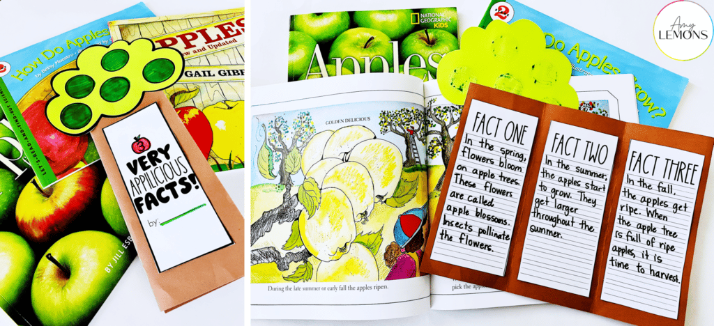 free apple activity nonfiction apple fact picture book