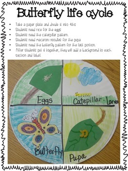 Frogs and Butterflies Life Cycle Fun 2