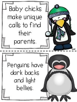 Penguin Research and Activities 4