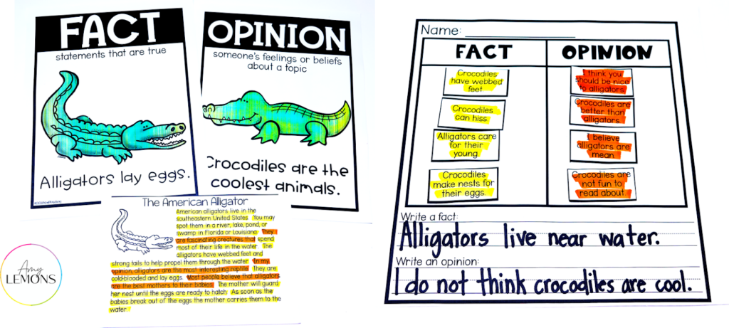 fact versus opinion activity