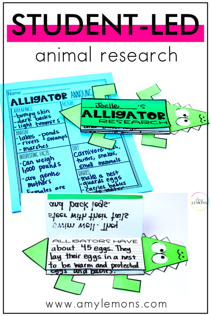 animal research activities for kids