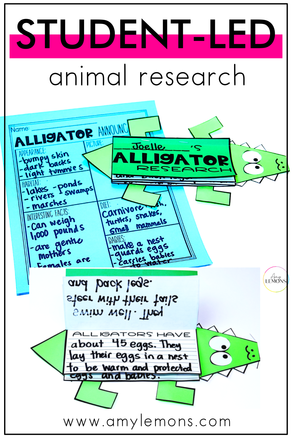 research animals ideas