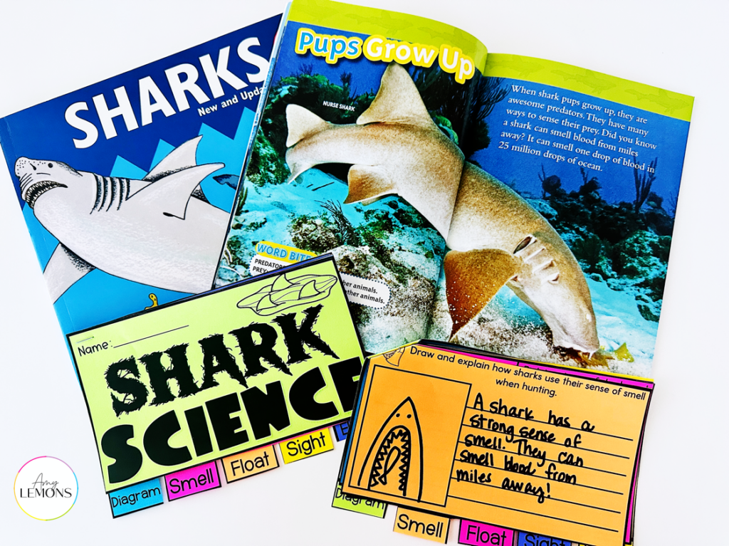 shark science and research booklet