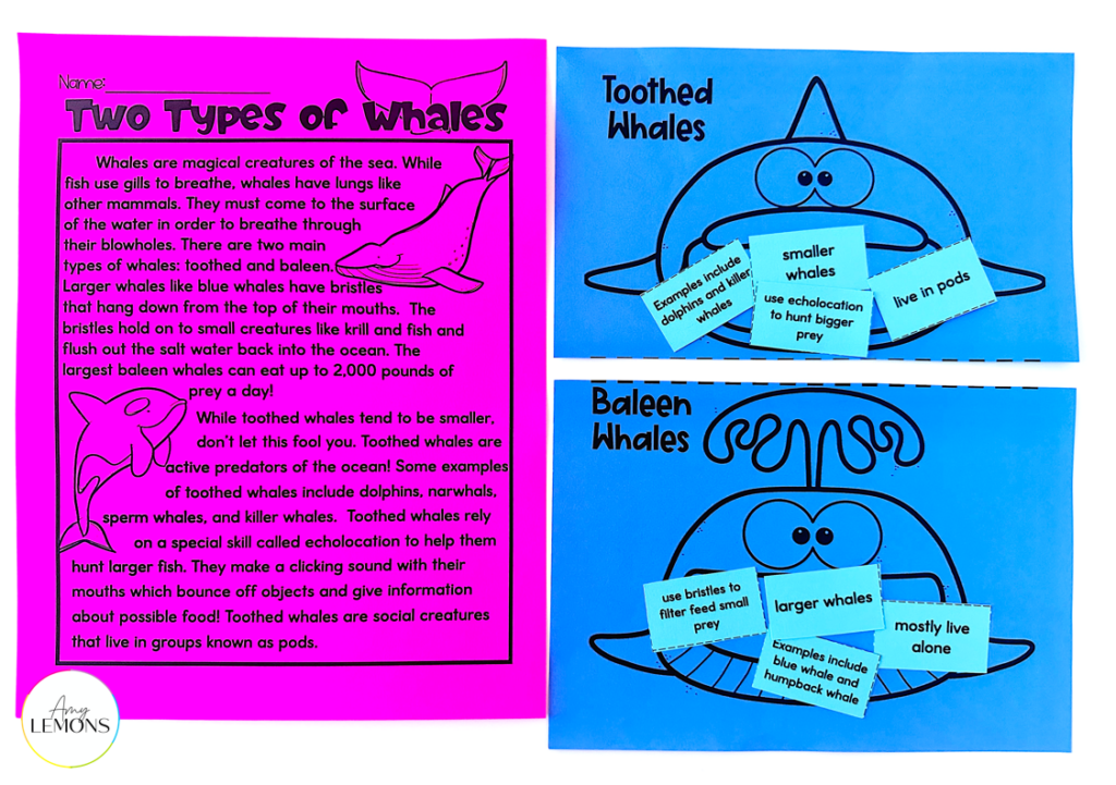 ocean learning activities featuring whales