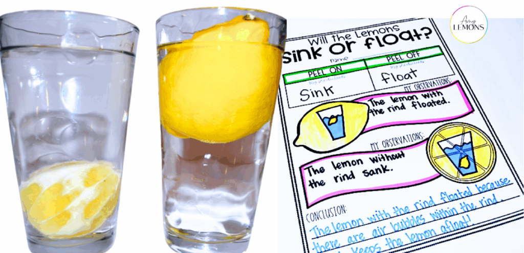 Sink or float printable worksheet with a glass of lemons floating in water