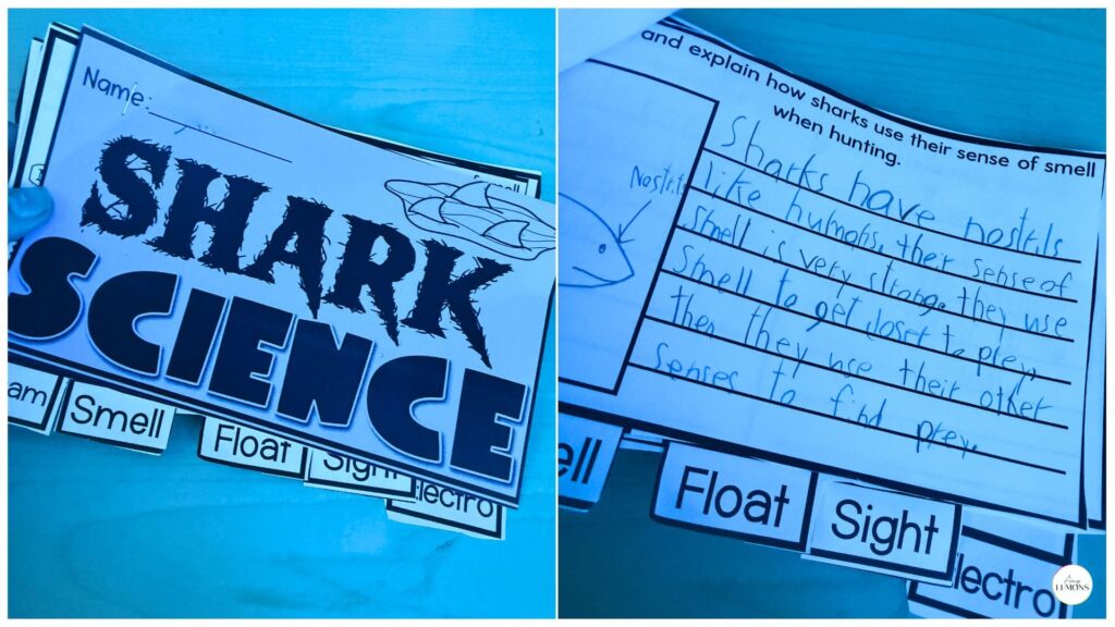 Free shark science project